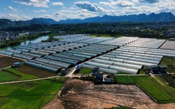 农村投资与农业项目，如何选？钱往哪投？