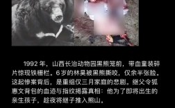 山西绛县安峪镇杀人案有何疑点？