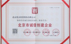 北京爱亲投资股份有限公司有何业务优势？