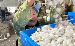 开一家蚕丝被厂要投多少钱？