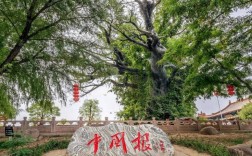 山西省洪洞县大槐树村为何闻名？