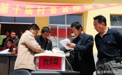 山西乡镇换届，村官选拔有何新变化？