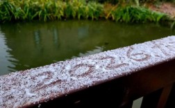 山西盐城今天下雪了吗？