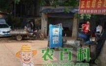 现今无本投资真能致富吗？