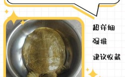 甲鱼养殖投资到底要多少？