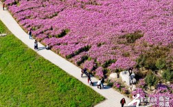 山西赏花好去处有哪些？