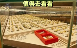 3000元本金，能选哪些稳健投资？