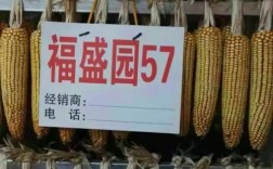 山西福盛园科技发展有限公司有何核心业务优势？