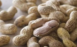 15年投资零元致富，真有这等商机？