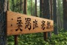 带木字的成语有哪些？