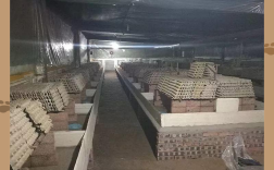 北方农村养殖小投资，哪些项目能赚钱？