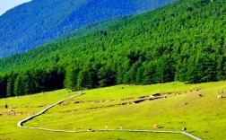 山西云顶山门票多少钱？