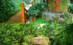 佛山西樵山门票多少钱？