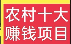 农村创业好项目，投资如何选？
