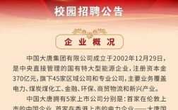 山西大唐国际招聘公告