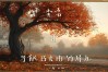 有哪些含有‘失’字的常见成语？