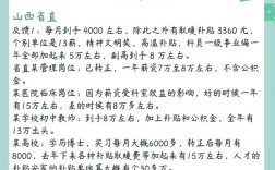 山西政府购买岗位待遇如何？