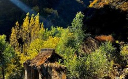 山西忻州定襄各村情况