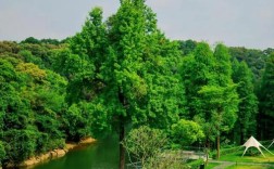 佛山西樵山山下住宿有哪些推荐？