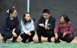 山西首届青年创业交流，如何助力青年创业？