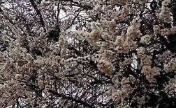 沁县今天天气怎么样？