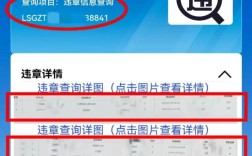 山西临汾车辆违章怎么查？