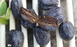 山西太行山有什么特产