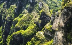 王莽岭景区究竟好不好玩？