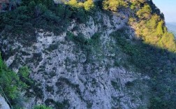 山西国家级保护区有何独特生态价值？