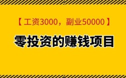 如今投资零元赚钱项目