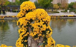 山西大同御河公园有哪些必打卡景点？