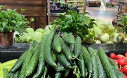 有机蔬菜店投资要多少？