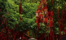 普陀山西天景区许愿树，如何许愿才灵验？