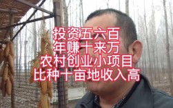 明年哪些投资项目能致富？