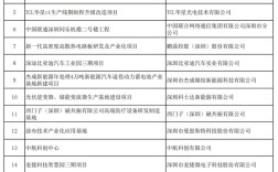 2025实体项目投资，哪些方向更值得布局？