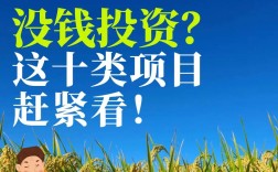 国内哪些投资项目最有前景？