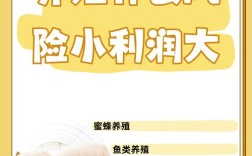 养殖什么投资小赚钱快