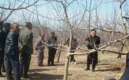 山西基层岗位前途如何？