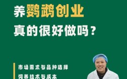 回家创业投什么项目靠谱又稳？