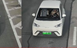 山西晋中违章怎么查？