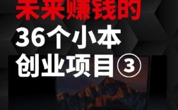 明年小本赚钱项目，哪些真正靠谱？