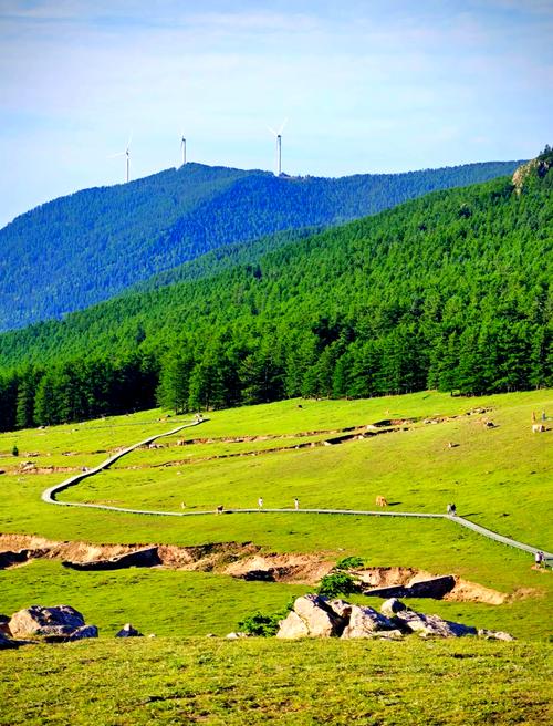 山西云顶山门票多少钱？-图1