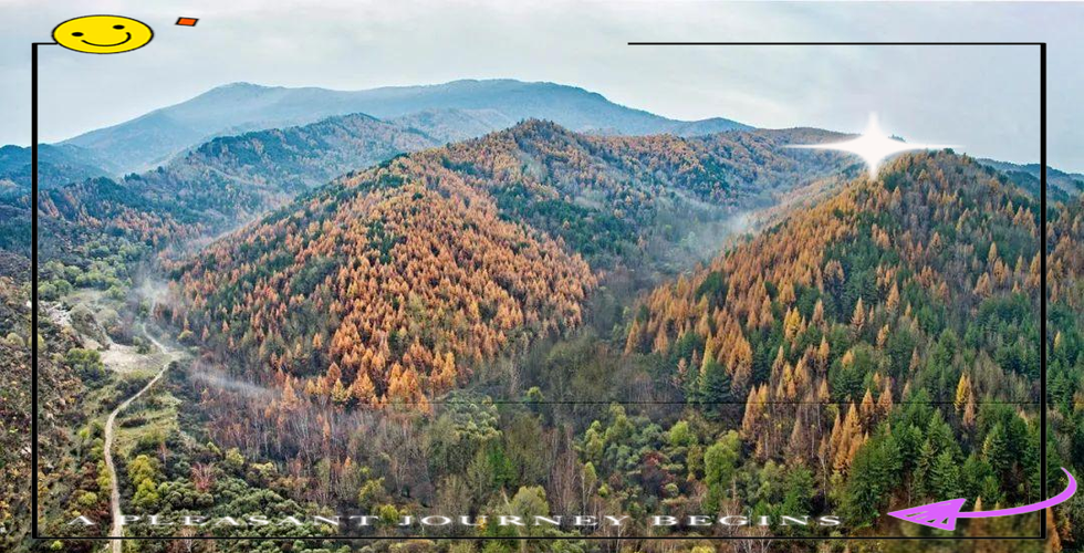 山西关帝山国家森林公园有何独特魅力？-图2