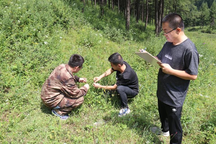 山西省黑茶山森林经营局有何特殊使命?-图1 山西省黑茶山森林经营局有何特殊使命?-图1