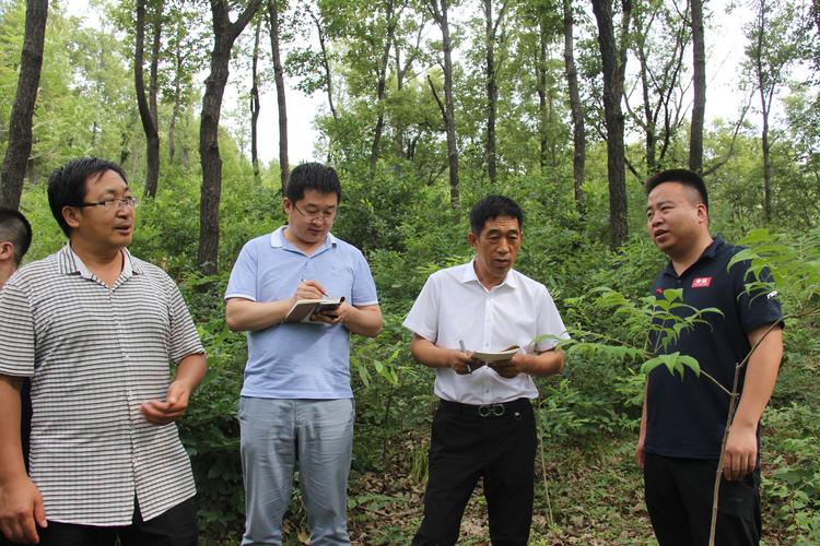 山西省黑茶山森林经营局有何特殊使命?-图2 山西省黑茶山森林经营局有何特殊使命?-图2