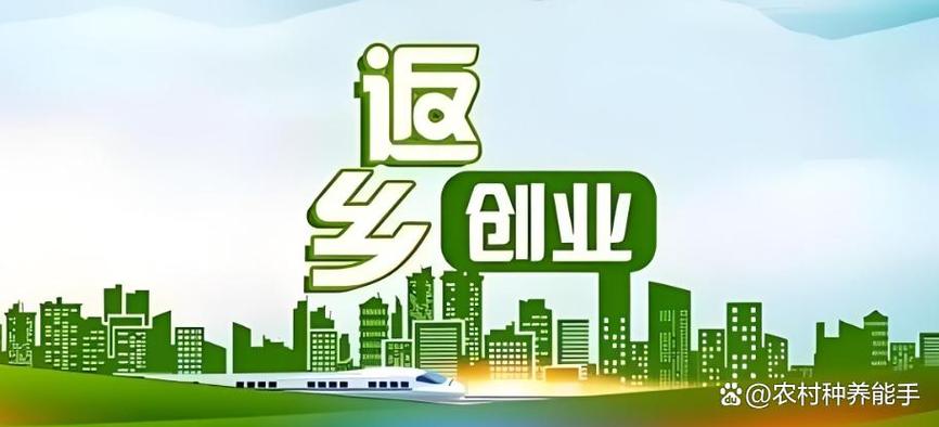 农村创业好项目，投资如何选？-图2