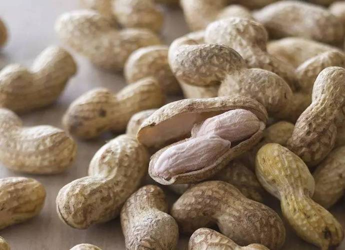 15年投资零元致富，真有这等商机？-图1