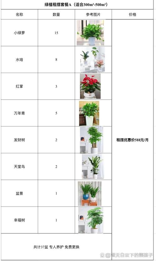 无土栽培投资多少?成本构成是怎样的?-图1 无土栽培投资多少?成本构成是怎样的?-图1