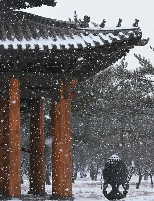 2025年7月山西为何会下雪？-图1