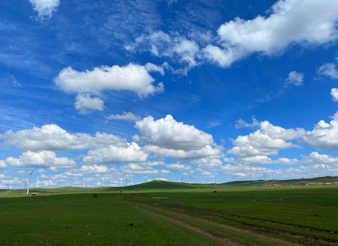 内蒙古离山西最近的草原-图3